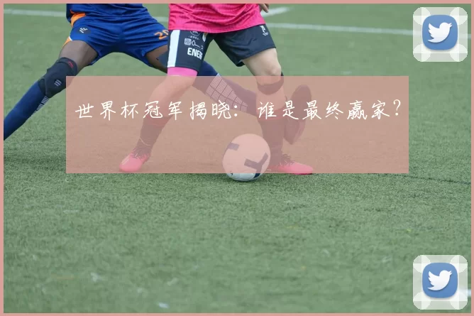 世界杯冠军揭晓:谁是最终赢家?