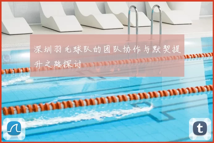 深圳羽毛球队的团队协作与默契提升之路探讨
