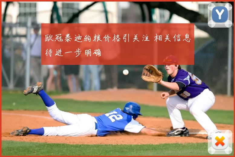 欧冠泰迪狗粮价格引关注 相关信息待进一步明确