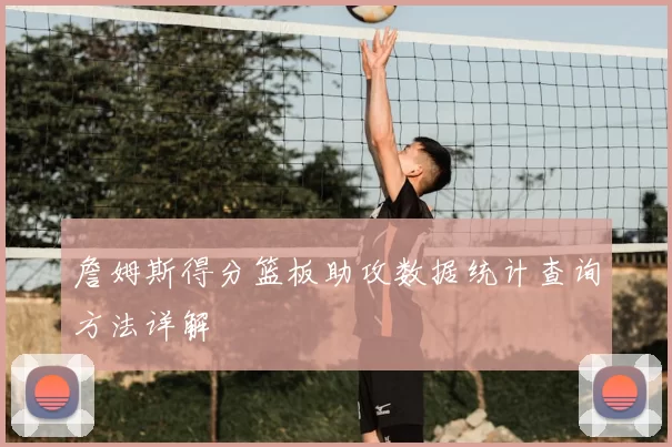 詹姆斯得分篮板助攻数据统计查询方法详解