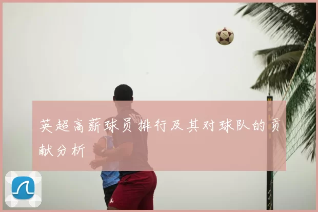 英超高薪球员排行及其对球队的贡献分析