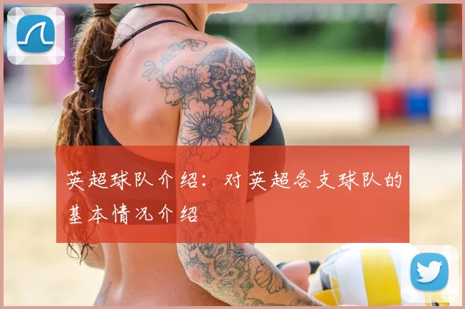 英超球队介绍:对英超各支球队的基本情况介绍