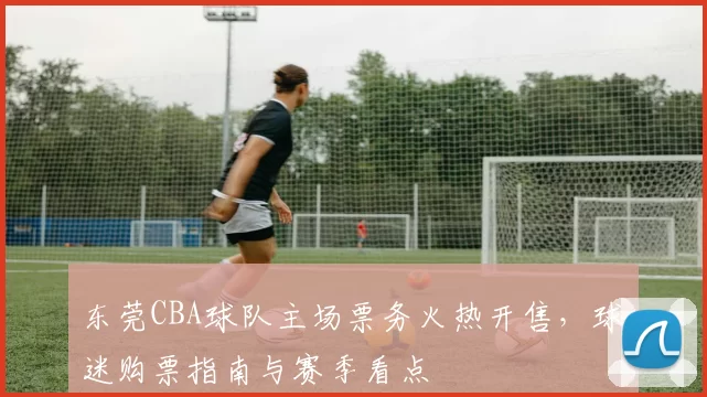 东莞CBA球队主场票务火热开售,球迷购票指南与赛季看点