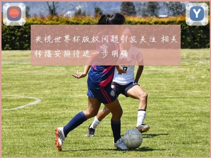 央视世界杯版权问题引发关注 相关转播安排待进一步明确
