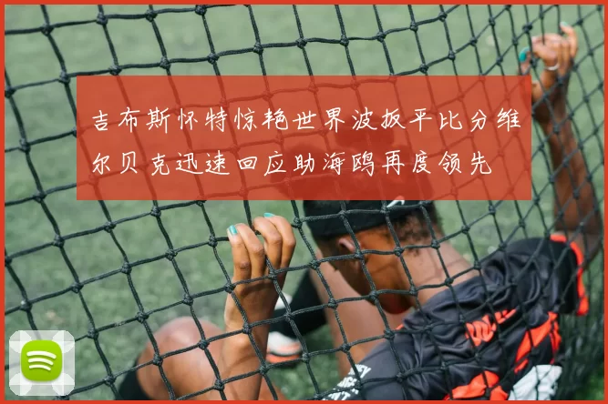 吉布斯怀特惊艳世界波扳平比分维尔贝克迅速回应助海鸥再度领先
