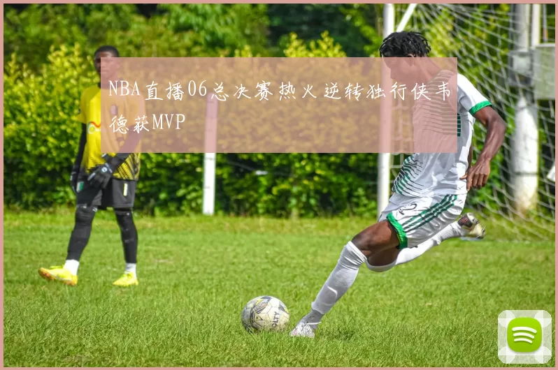 NBA直播06总决赛热火逆转独行侠韦德获MVP