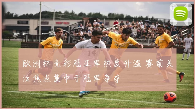 欧洲杯竞彩冠亚军热度升温 赛前关注焦点集中于冠军争夺