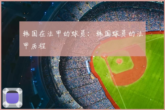 韩国在法甲的球员：韩国球员的法甲历程