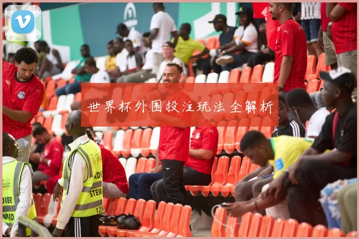 世界杯外围投注玩法全解析