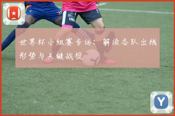 世界杯小组赛专访：解读各队出线形势与关键战役