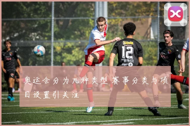 奥运会分为几种类型 赛事分类与项目设置引关注