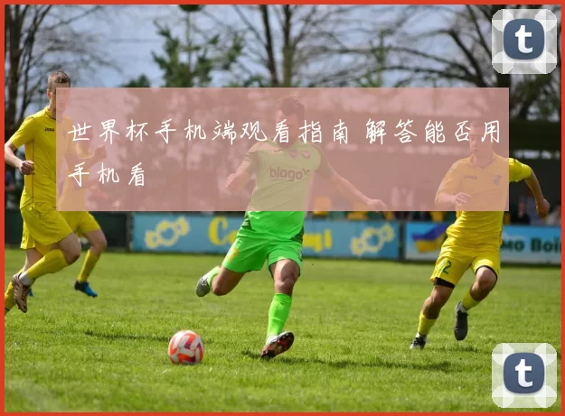 世界杯手机端观看指南 解答能否用手机看