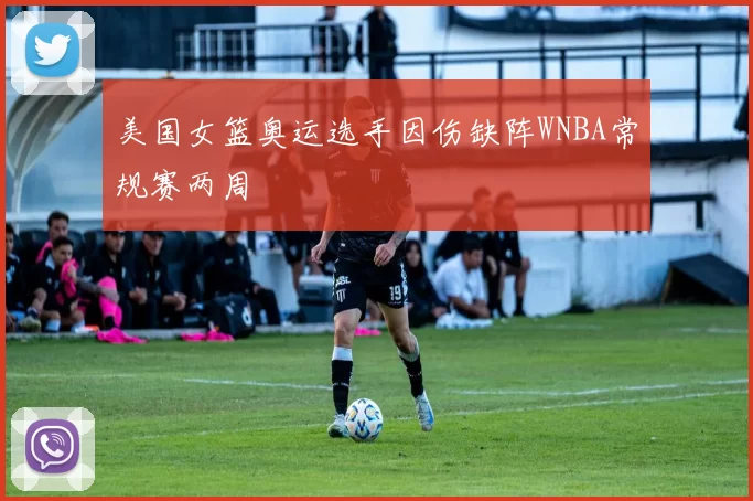 美国女篮奥运选手因伤缺阵WNBA常规赛两周